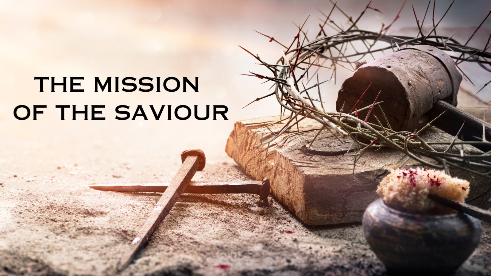 The mission of the Saviour